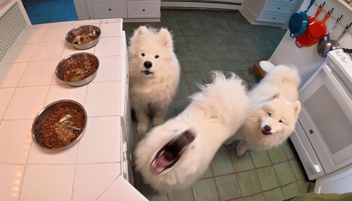 Breakfast time!