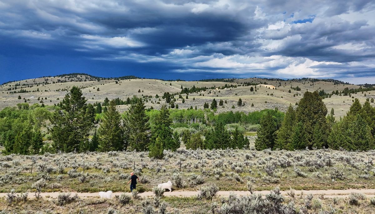 A walk before the storm