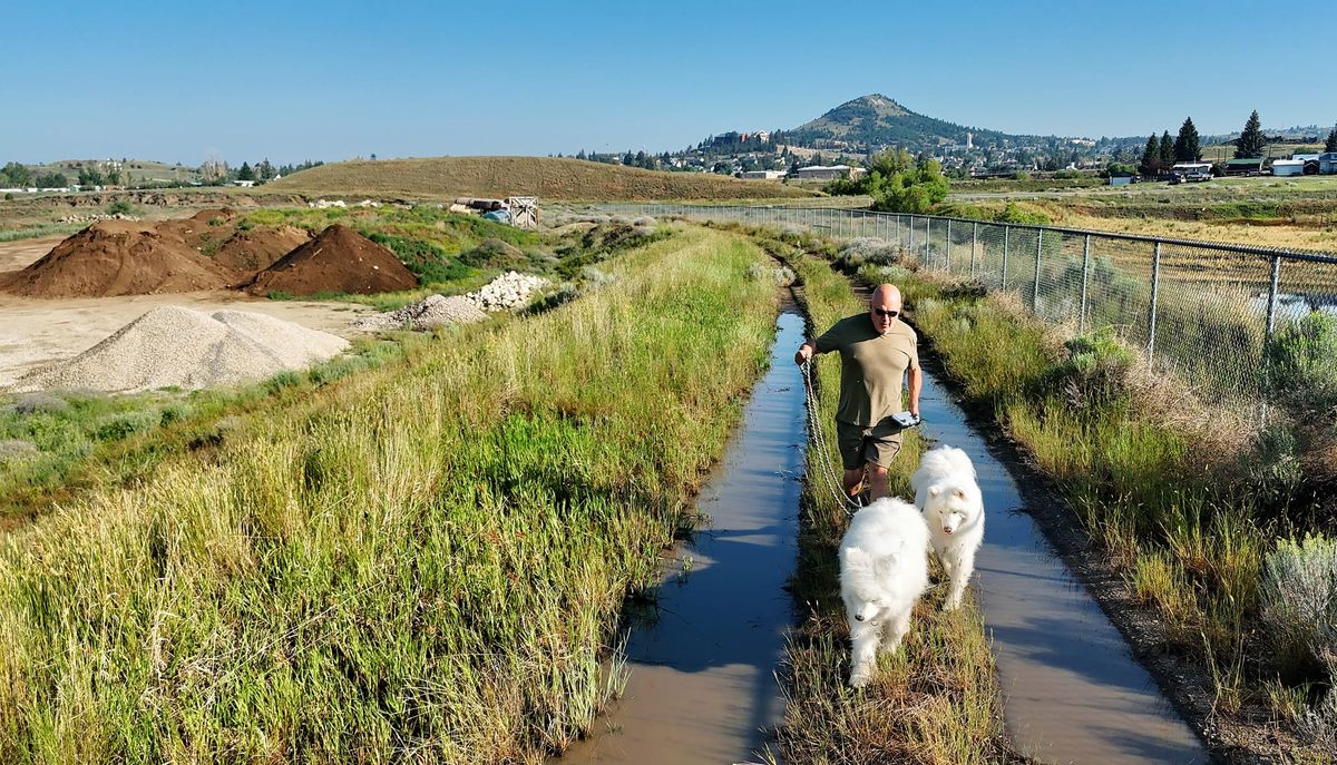 A walk between the puddles