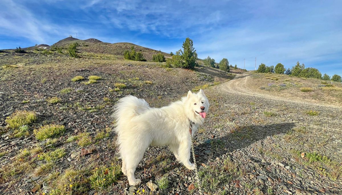 George's early morning hike