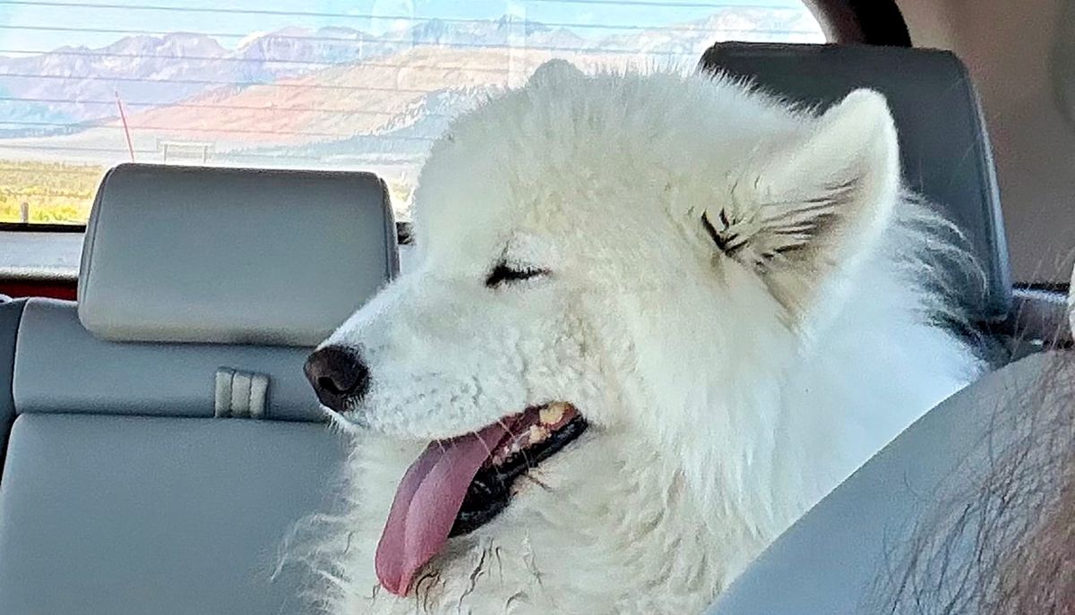 Nancy on the road