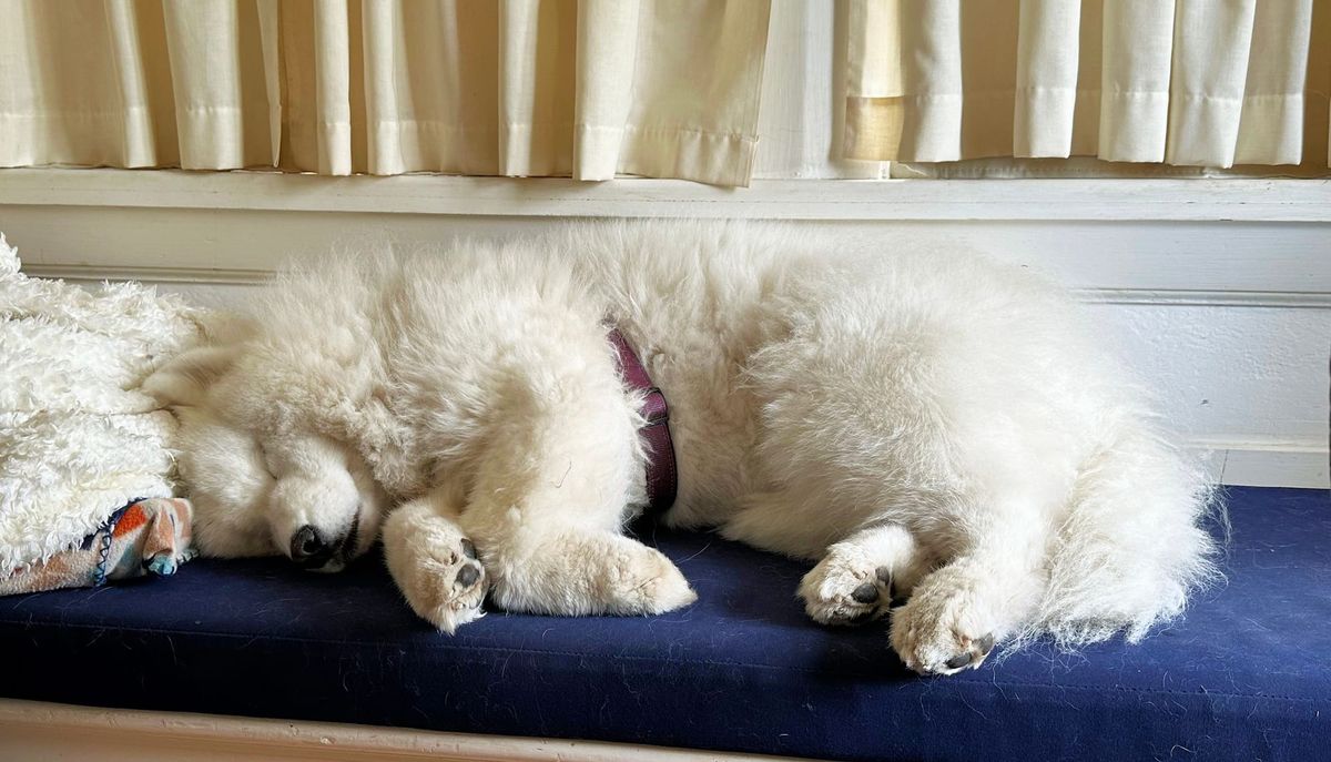 Nancy's Sunday