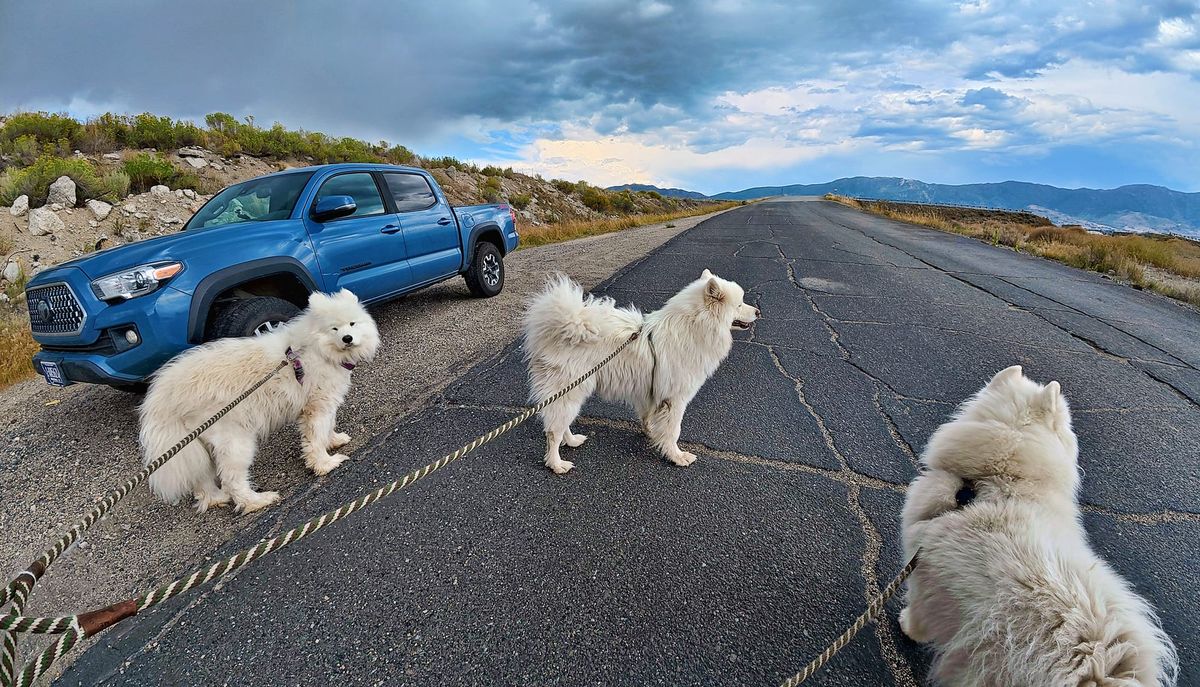 A canceled walk