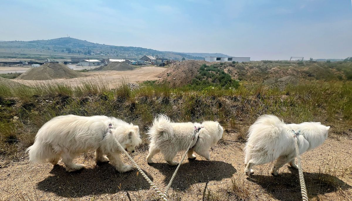 A smoky windy walk