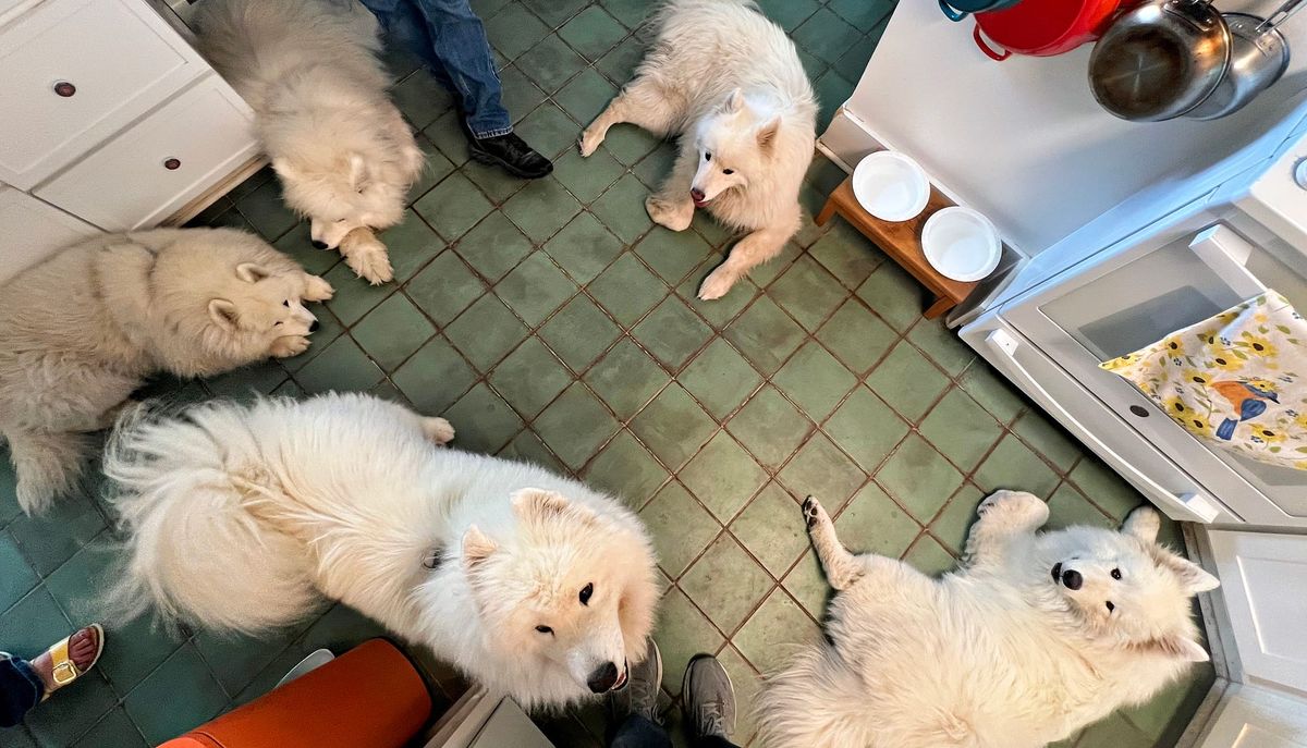 A visit from Strummer and Zevon