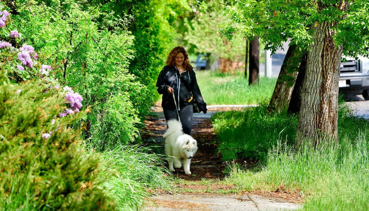 Throwback Thursday: first walks in Butte