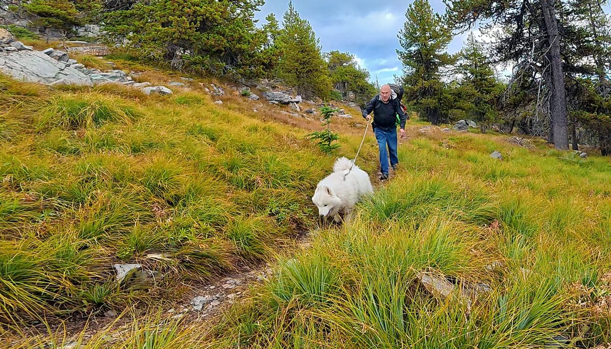 McGuire Mountain: the hike up