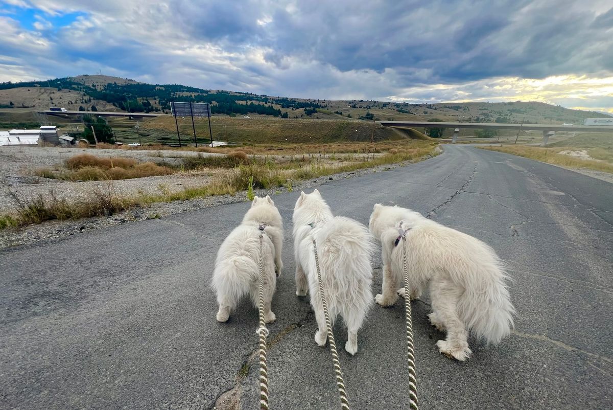 After-dinner walk