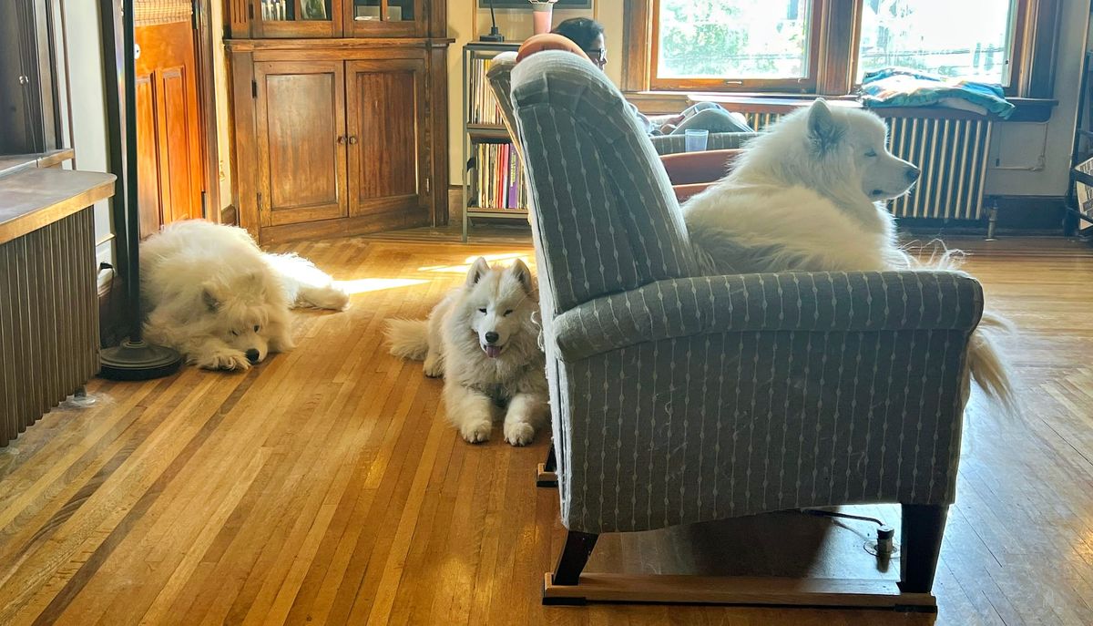 Lazy Sunday