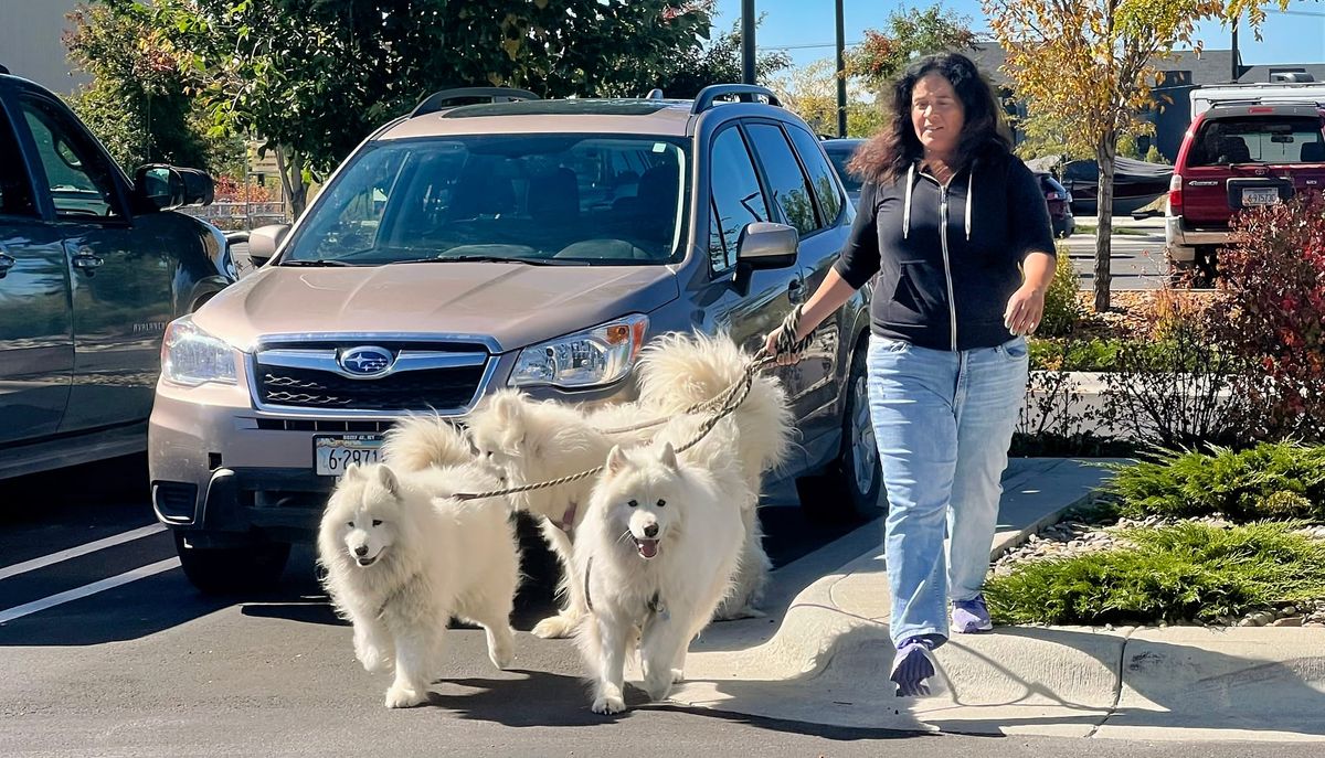A walk in the parking lot
