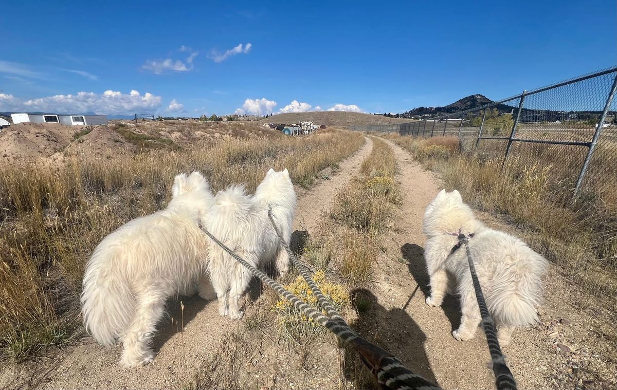 Mid-day walk