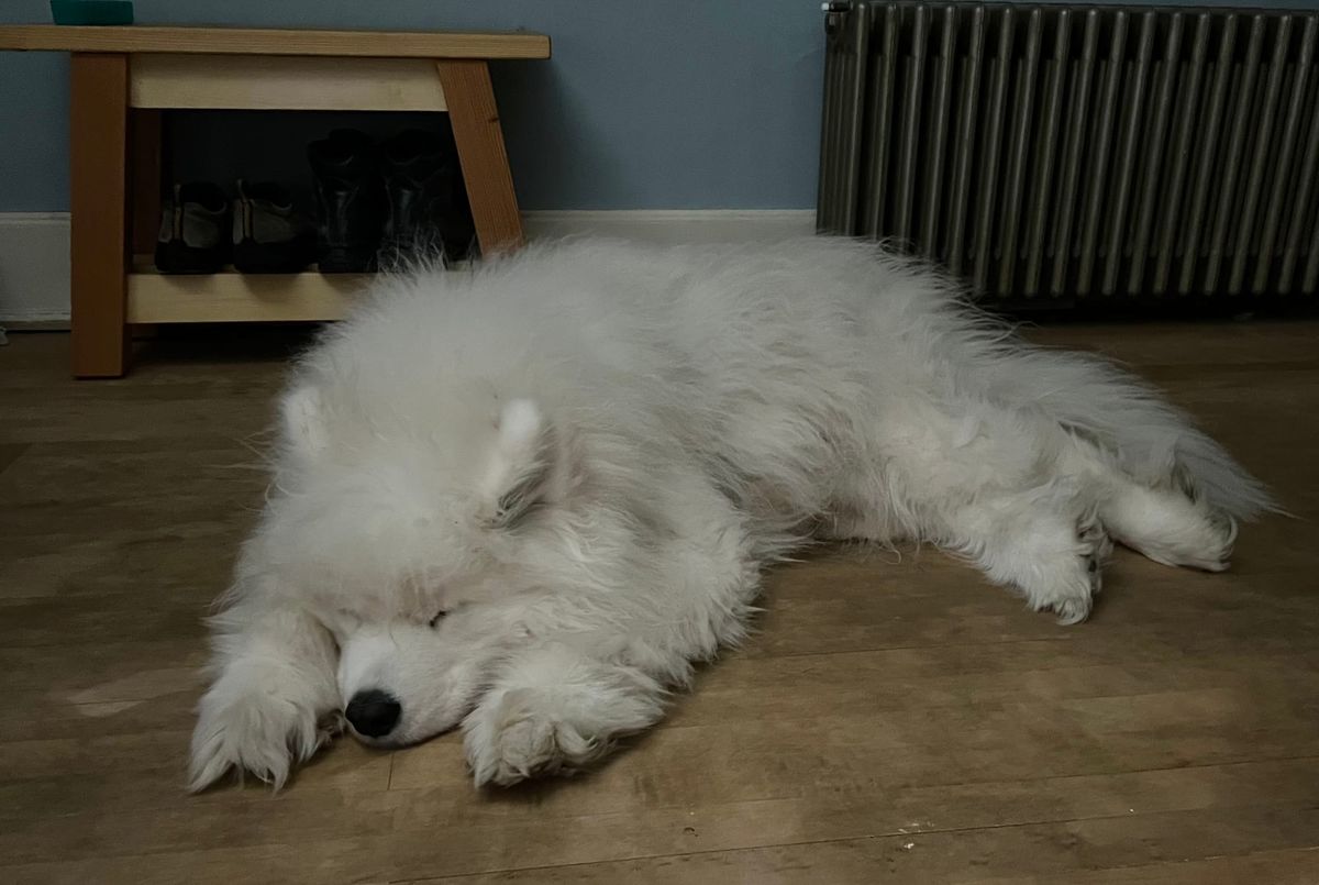 Good night!