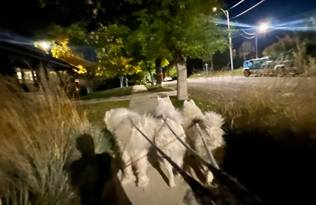 Good night!
