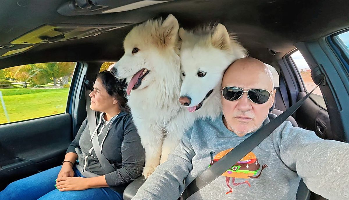 Saturday afternoon drive