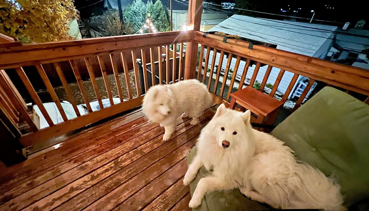 Waiting for snow