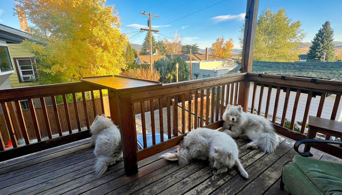 Dinner on the deck