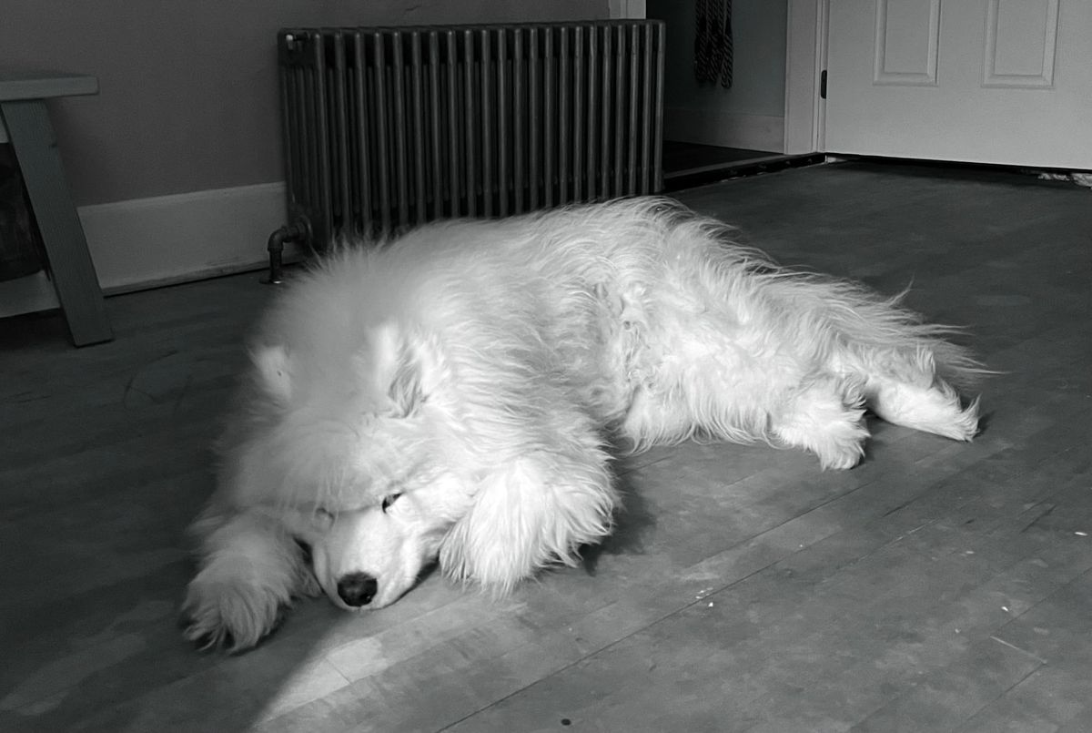 Good night!