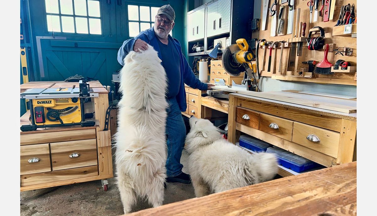 A visit from a friend