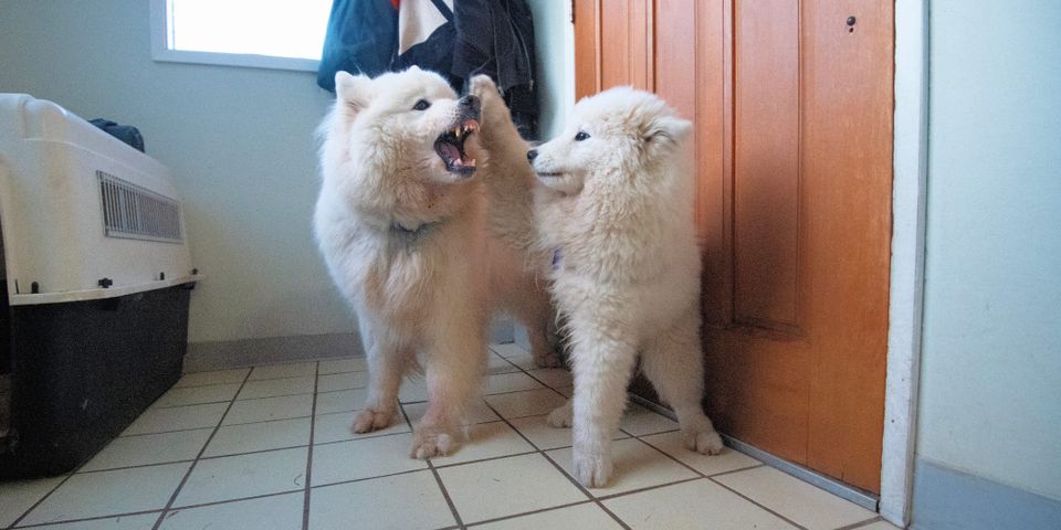 Nancy's Seattle Days