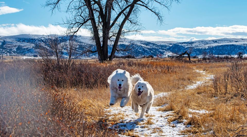 Nancy & Strummer's 1st year