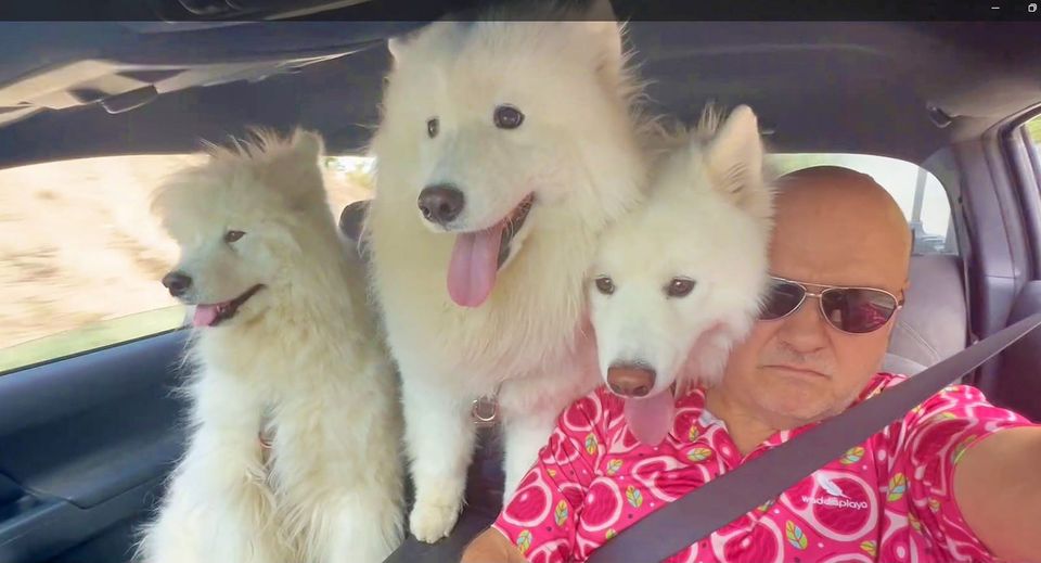 Tuesday in the Highlands