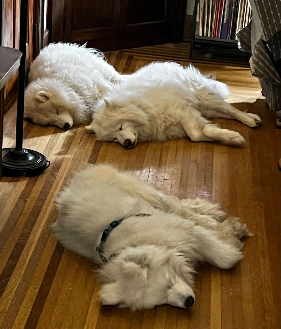 Waiting for a night walk