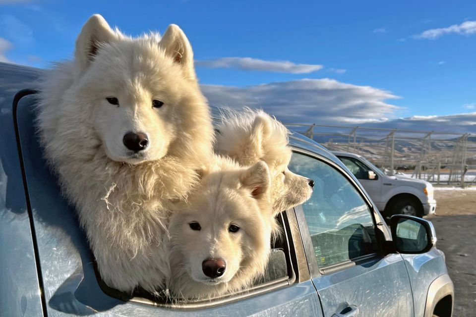 The new site is live!