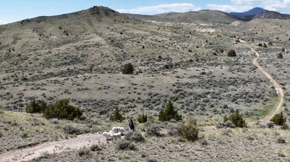 Pack outing to Pipestone