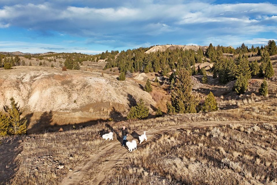 Sunday afternoon walk