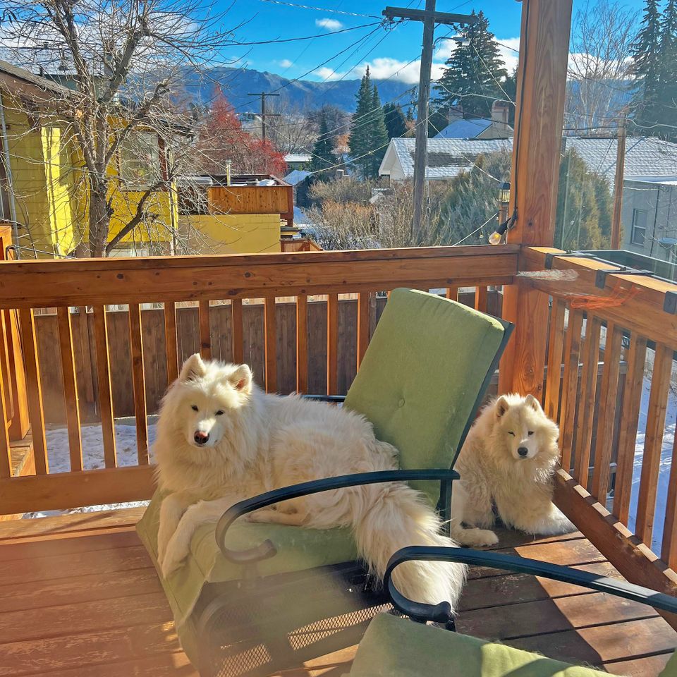 Enjoying the sunshine