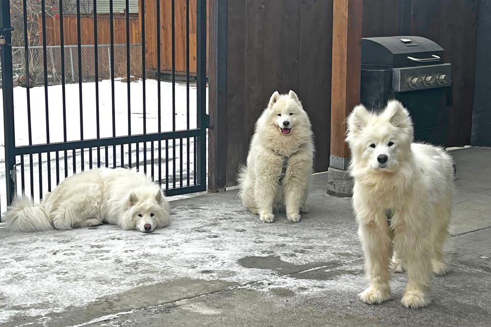 Waiting for the party to start