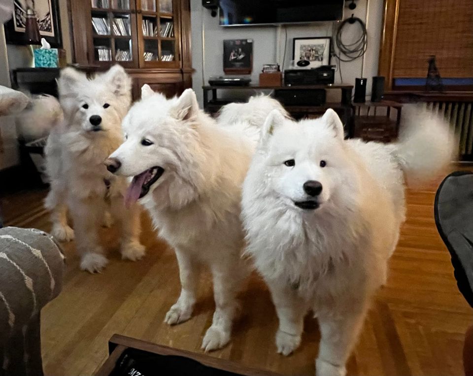 Happy Birthday, Isaac!