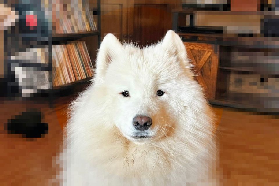 Nancy's patient stare