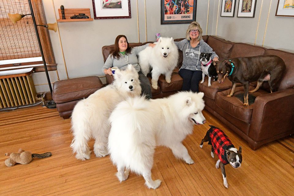 Entertaining the neighbors