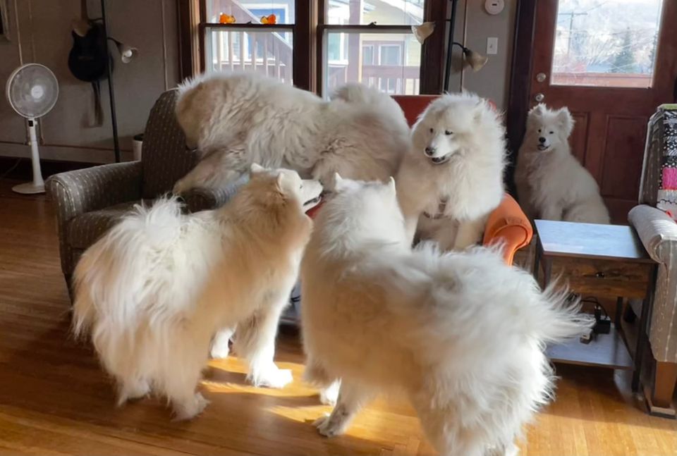 A visit from Strummer and Zevon!