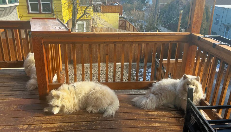 Hanging out on the deck