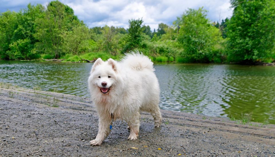 TBT: Alice's last trip to Marymoor