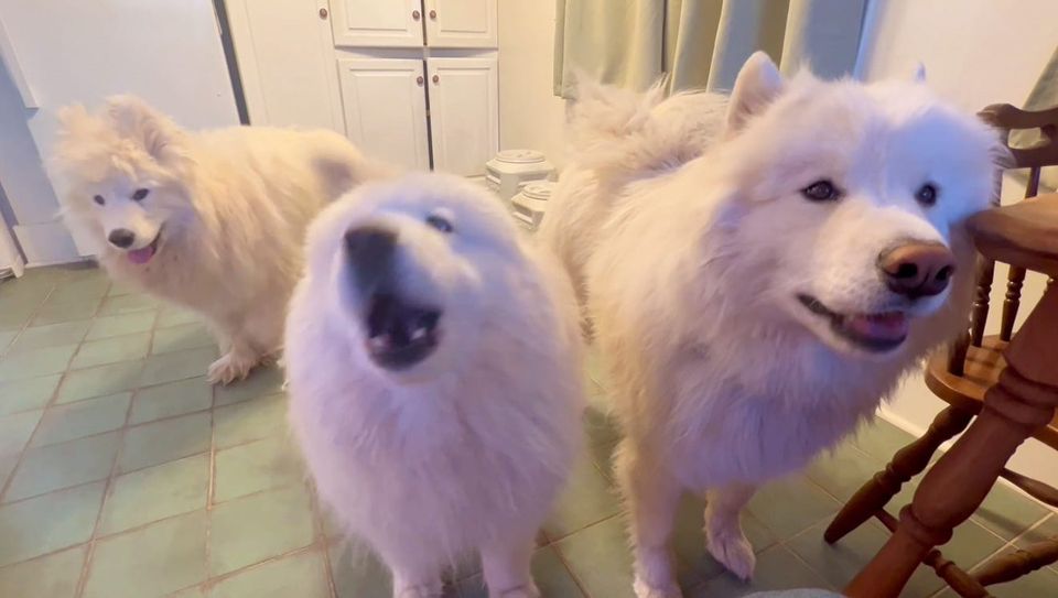 Nancy negotiating breakfast