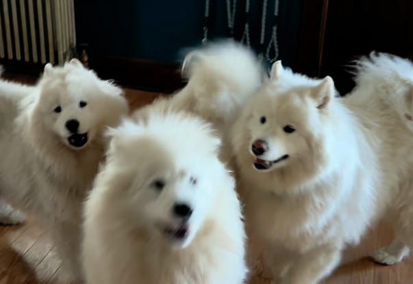 Saturday afternoon drive