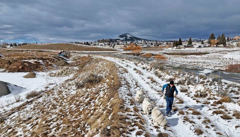 A walk while running errands