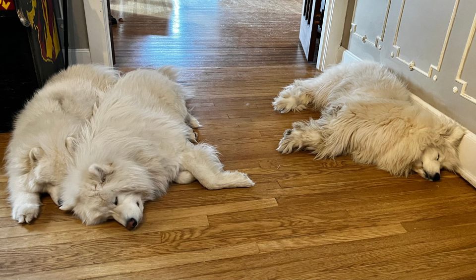 PT coaches hard at work