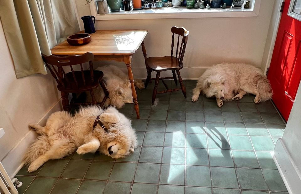 Supervising kitchen remodeling