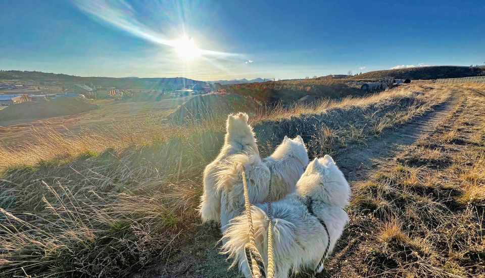 Sunset walk by the railroad tracks