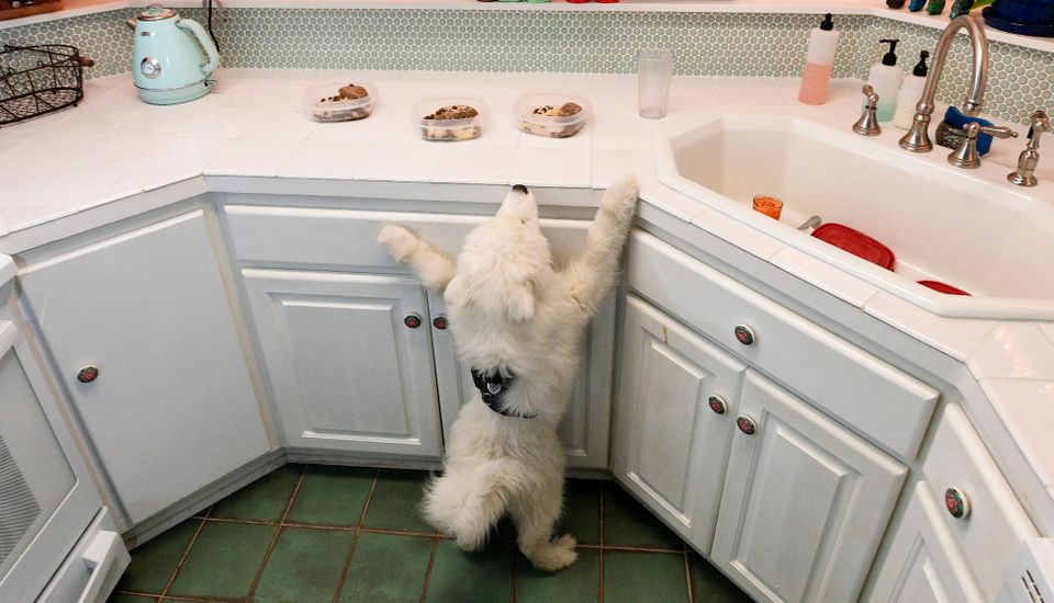 Throwback Thursday: two years ago today