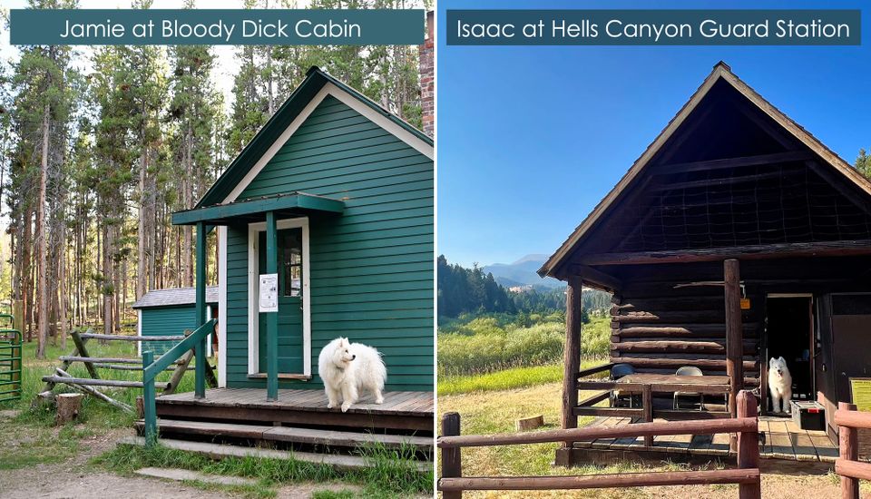 Throwback Thursday: boy Sammies at cabins