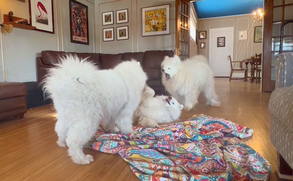 Everyone against George