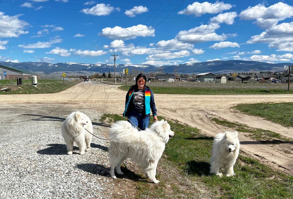 Out for a Saturday drive