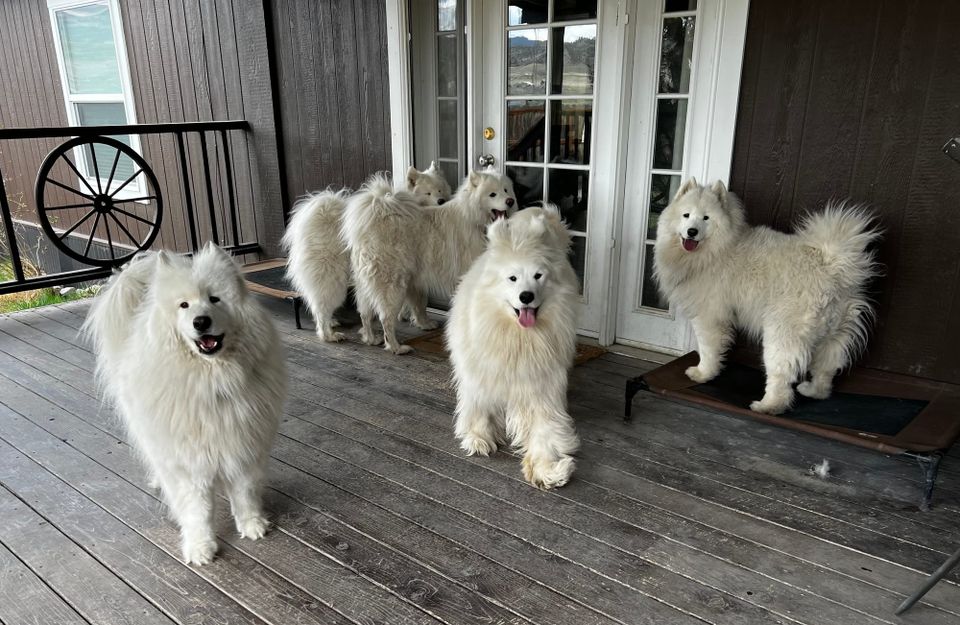 Visiting Strummer and Zevon