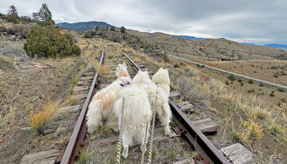 More railroad exploration