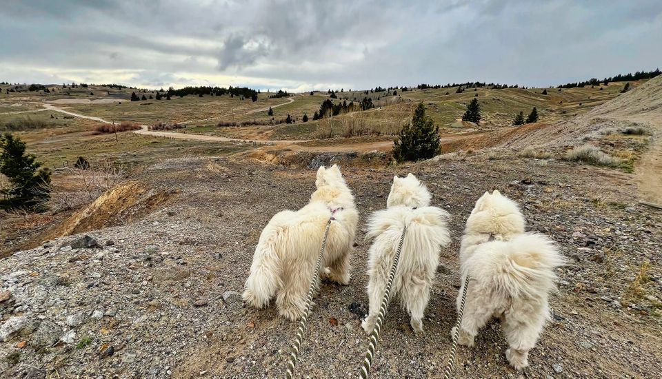 Evening walk west of town